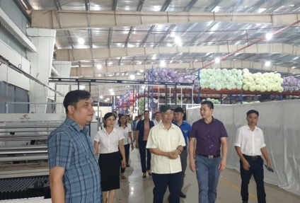 Phuc Luong commune delegation visited and worked with Dai Tu TDT branch